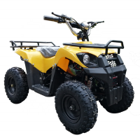 2020 new electric mini ATV outdoor 36V12AH kids ATV 1000W electric ATV